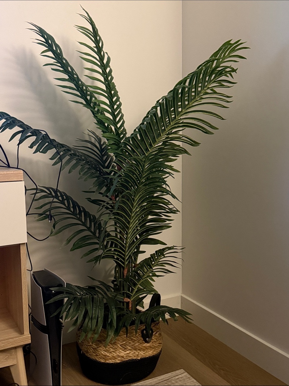IKEA Green Faux Palm in Woven Basket